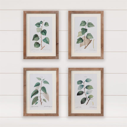 Framed Prints - Botanical Green Leaves