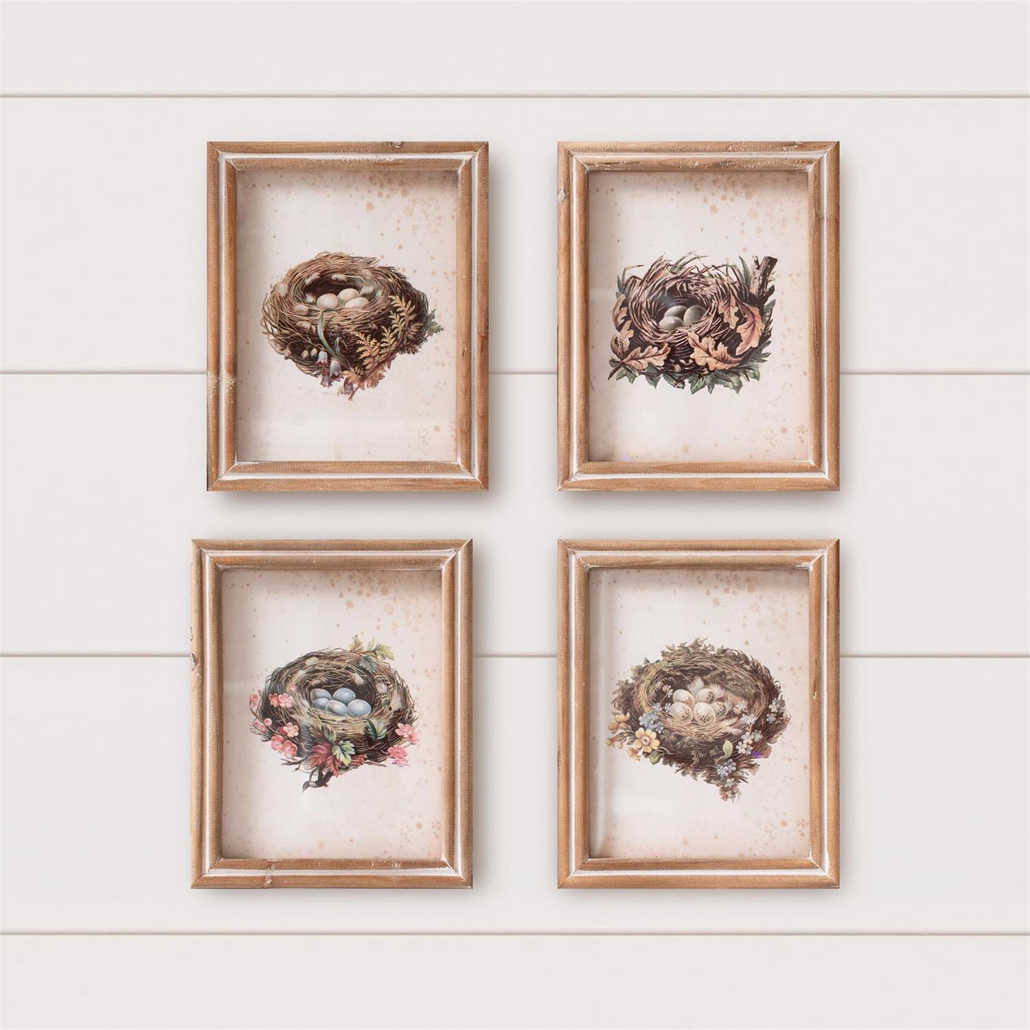 Framed Prints - Vintage Bird Nests