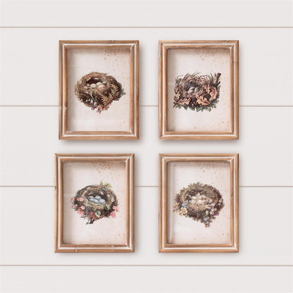 Framed Prints - Vintage Bird Nests
