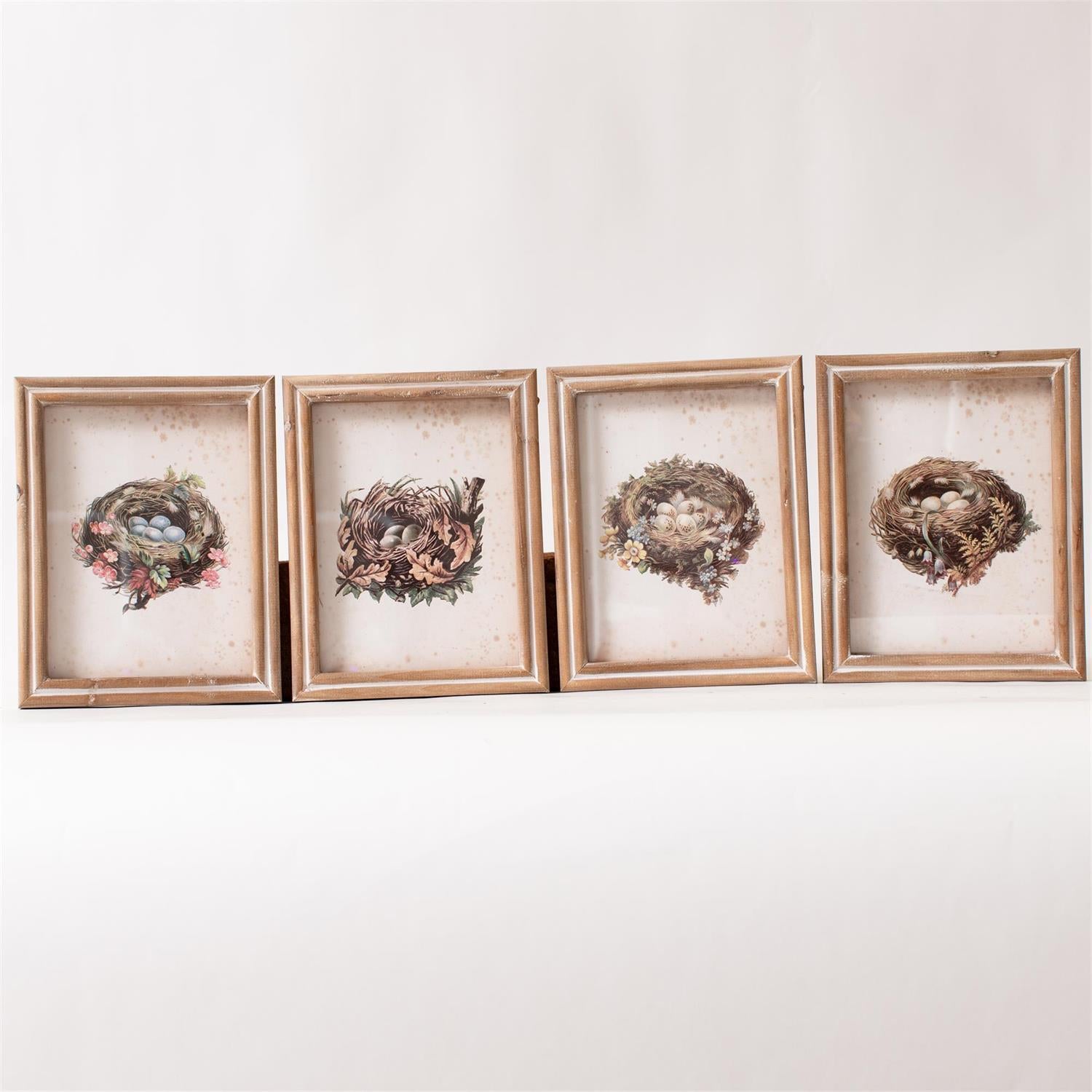 Framed Prints - Vintage Bird Nests