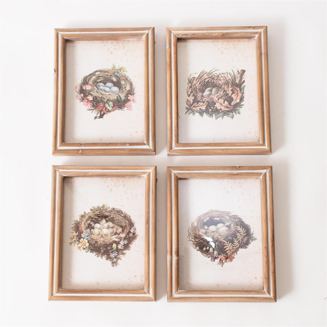 Framed Prints - Vintage Bird Nests