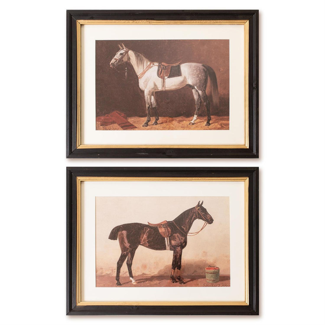 Framed Print - Saddled Riding Horses