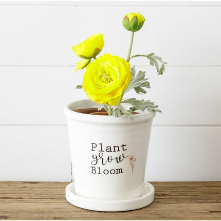 Pot With Saucer - Plant, Grow, Bloom