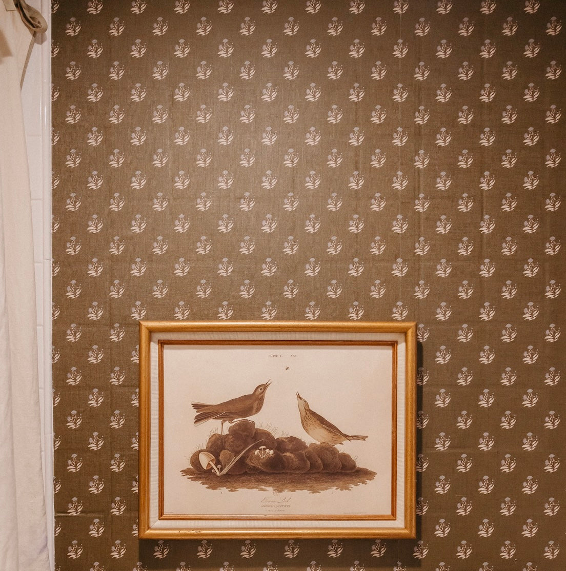 Mulberry Court Wallpaper by Safari Natalia x Taddy Mikelaites
