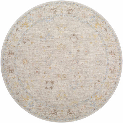 Amina Oushak Area Rug
