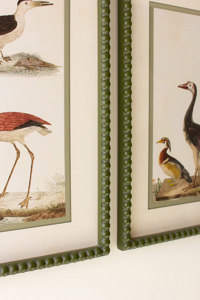 Set of 2 Bird Prints under Glass