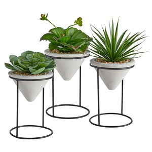 Plants with Iron stand - Set of 3