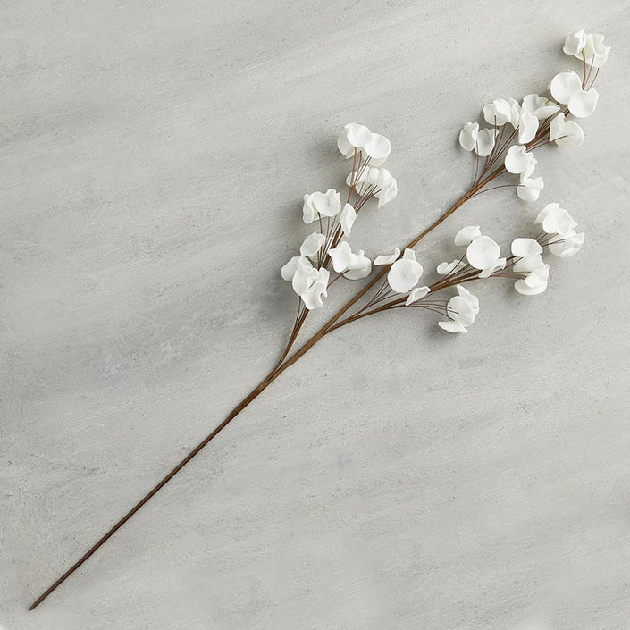 White Flower Stem