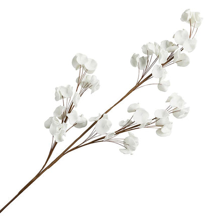 White Flower Stem