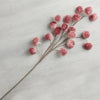 Pink Flower Stem