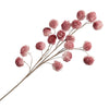 Pink Flower Stem