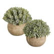 Light Grass Pot - Set of 2