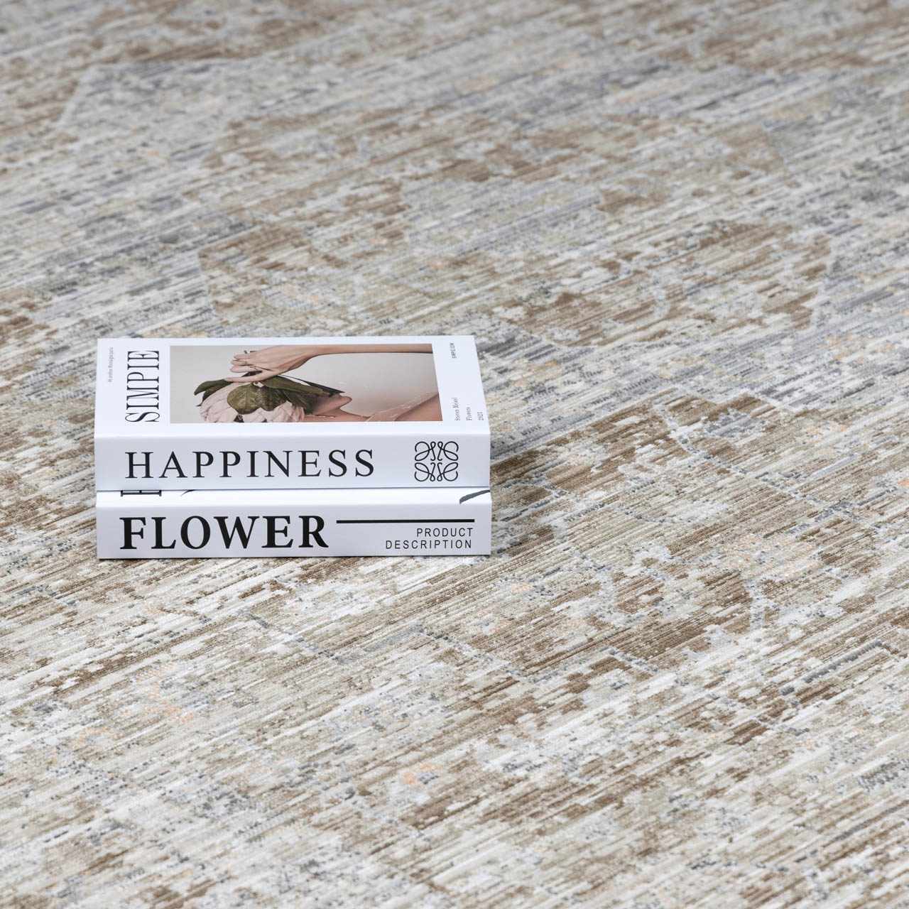 Aistys Washable Outdoor Area Rug - Clearance