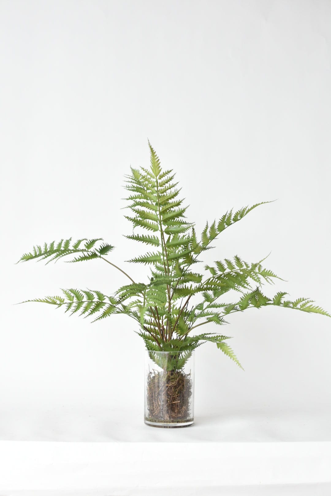 25" Faux Forest Fern in Glass Vase