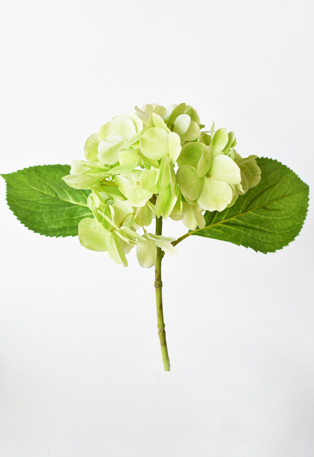 10" Faux Green Hydrangea Stem
