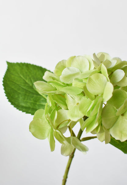 10" Faux Green Hydrangea Stem
