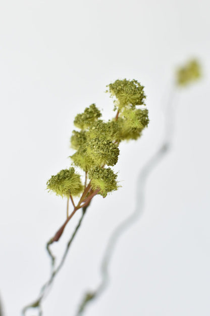 30" Faux Mini Fuzzy Blossom Branch