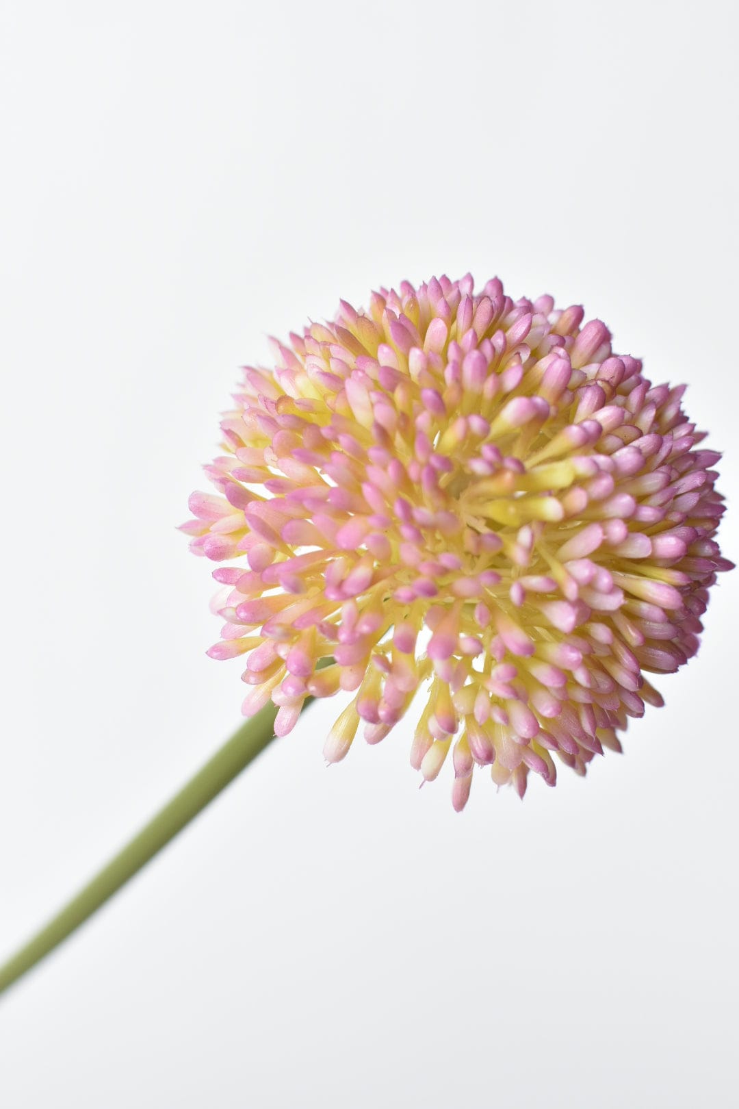 17.5" Faux Lavender Allium Stem