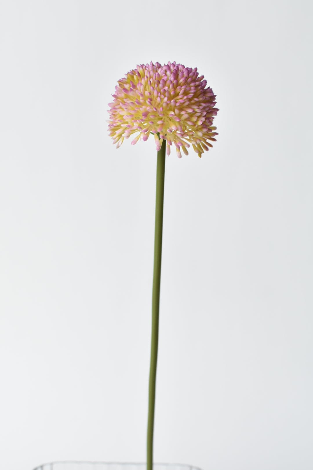 17.5" Faux Lavender Allium Stem