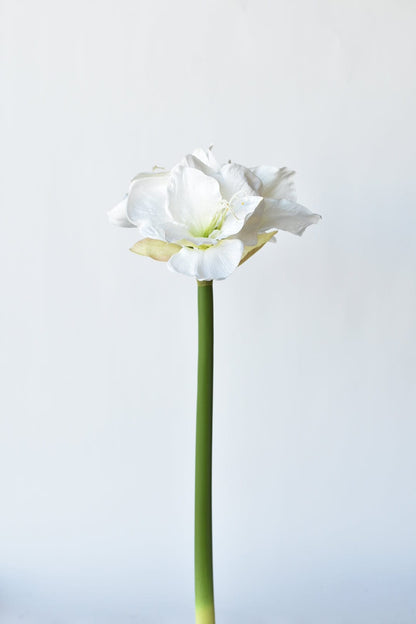 29" Faux White Amaryllis Stem