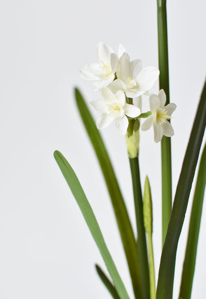 17.5" Faux Paperwhites w/ Bulb