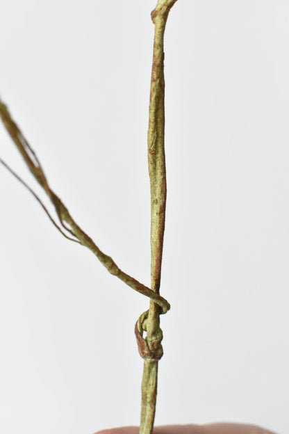 42" Faux Blue Berry Stem Vine