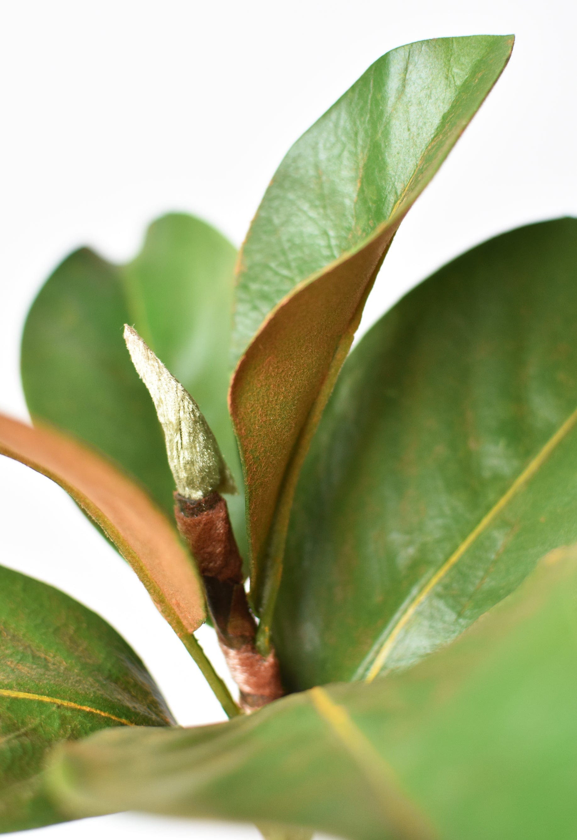 14" Faux Magnolia Leaf Stem