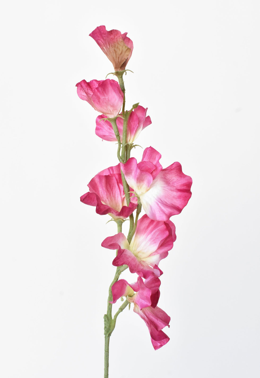 22" Faux Fuchsia Sweet Pea Stem