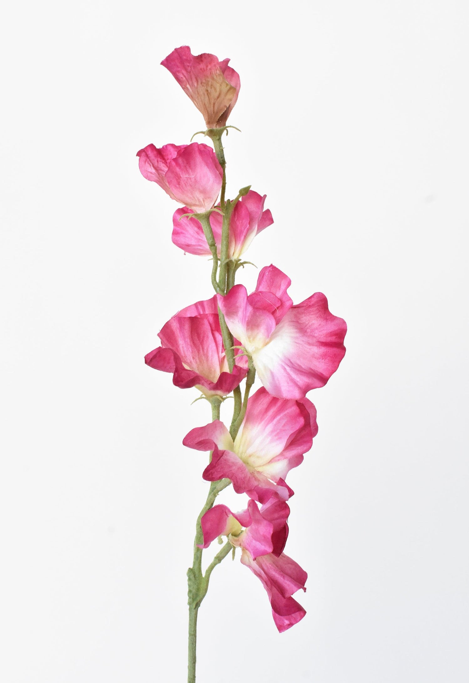 22" Faux Fuchsia Sweet Pea Stem