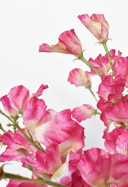 22" Faux Fuchsia Sweet Pea Stem