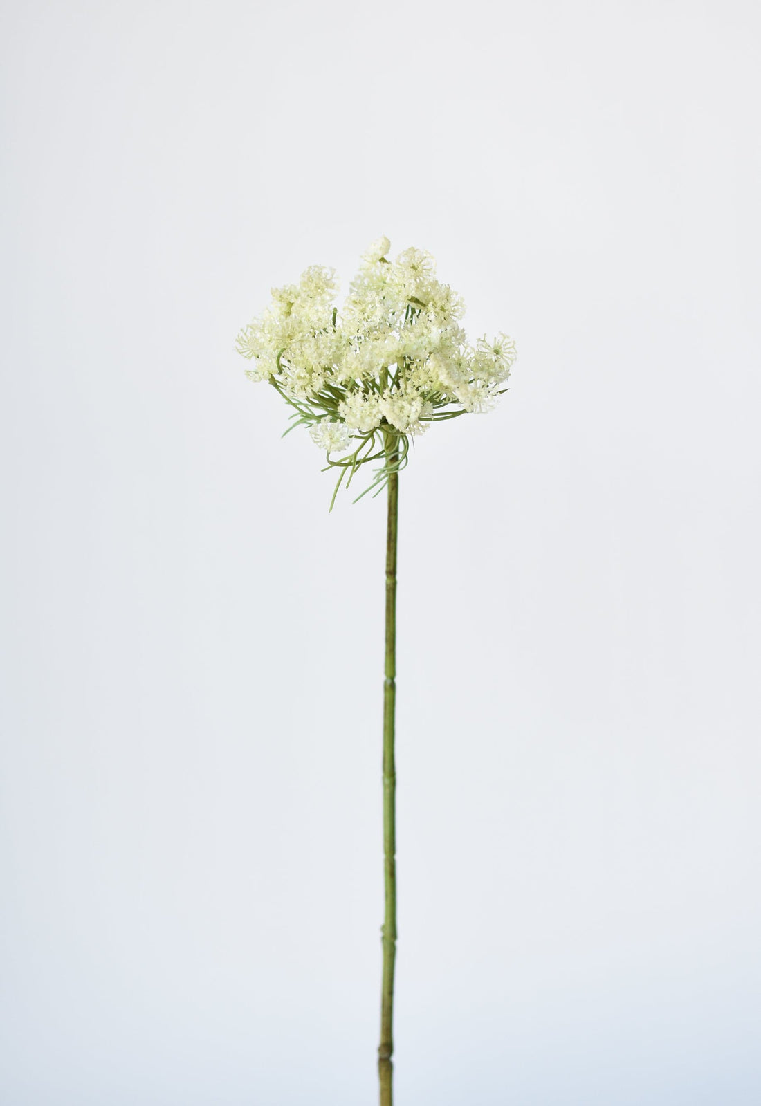 23" Faux White Queen Anne&
