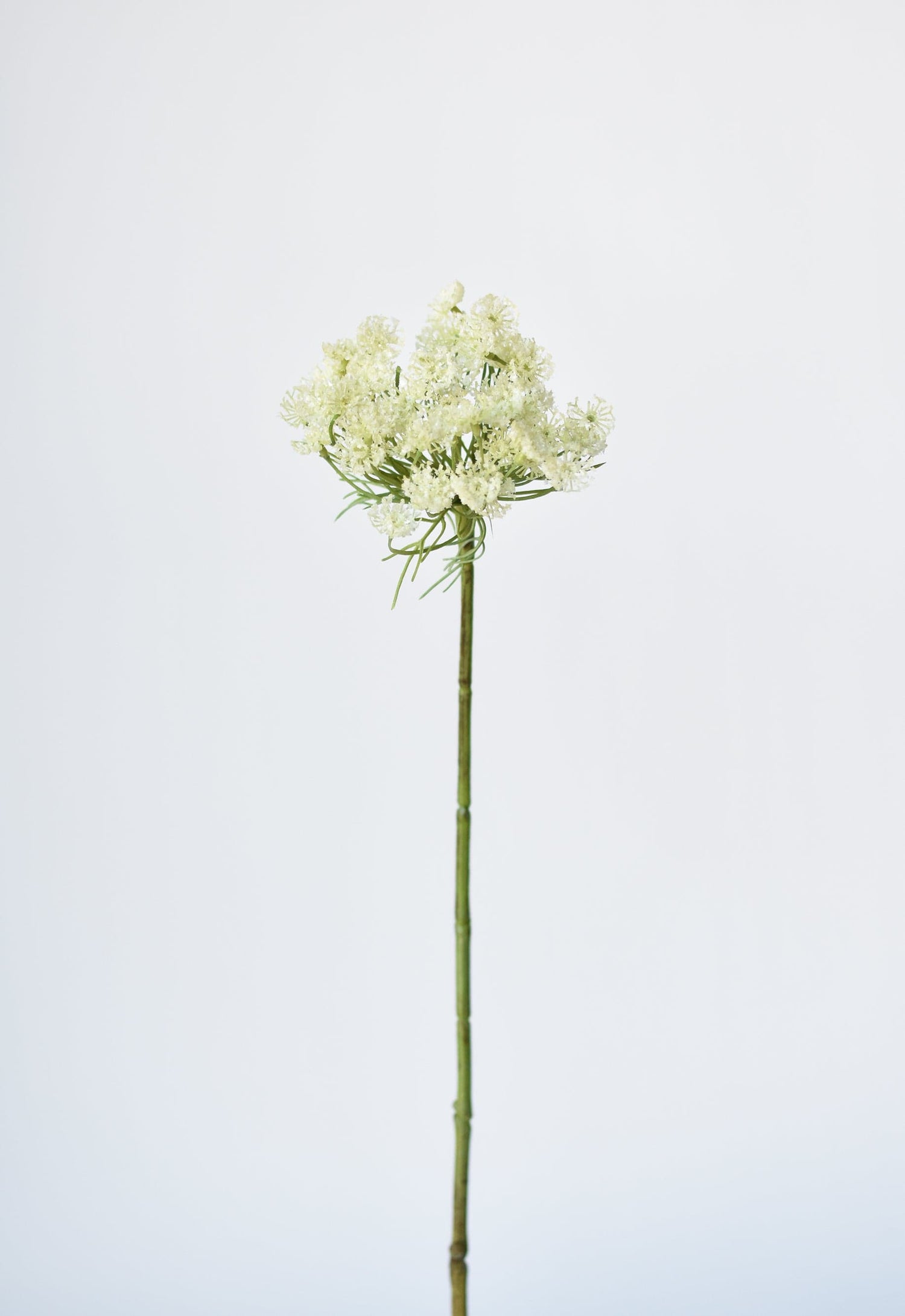 23" Faux White Queen Anne&