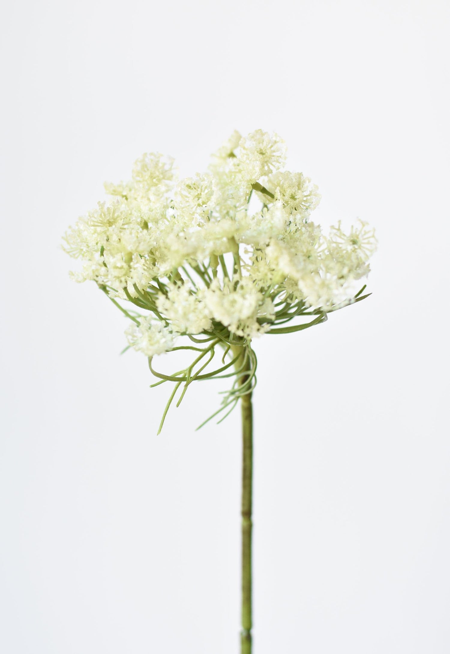 23" Faux White Queen Anne&