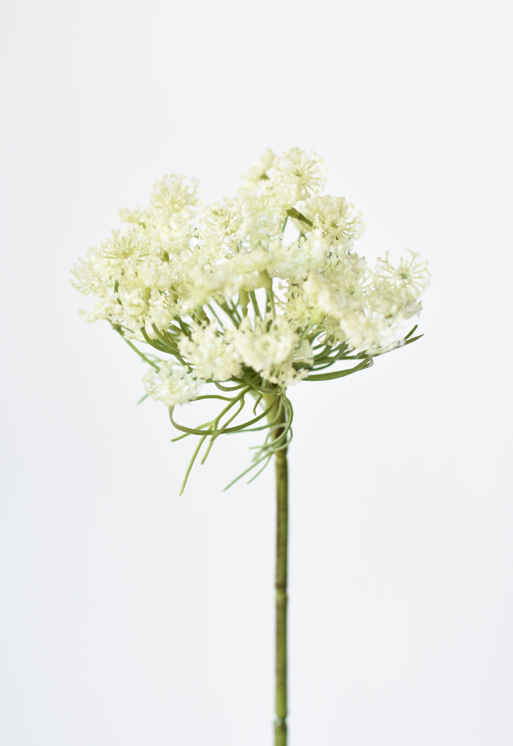 23" Faux White Queen Anne&