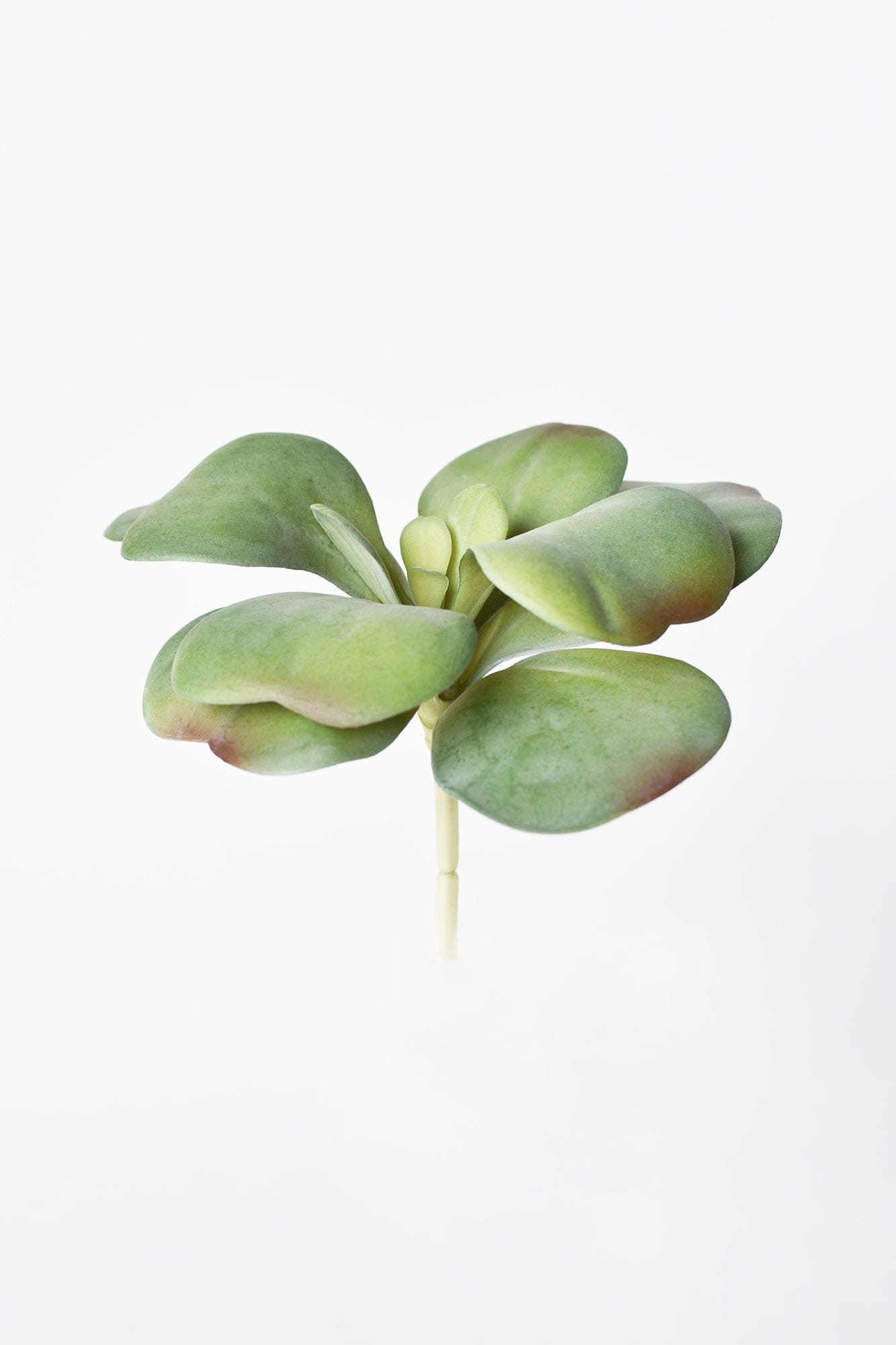 6" Faux Green\Gray Kalanchoe Succulent Pick