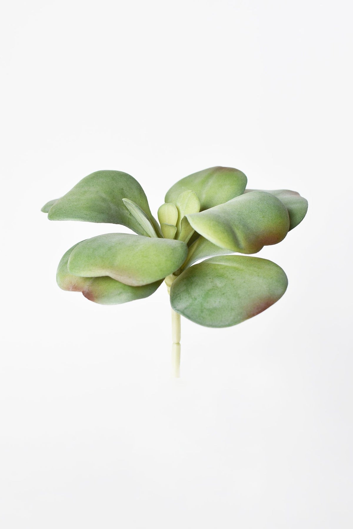 6" Faux Green\Gray Kalanchoe Succulent Pick