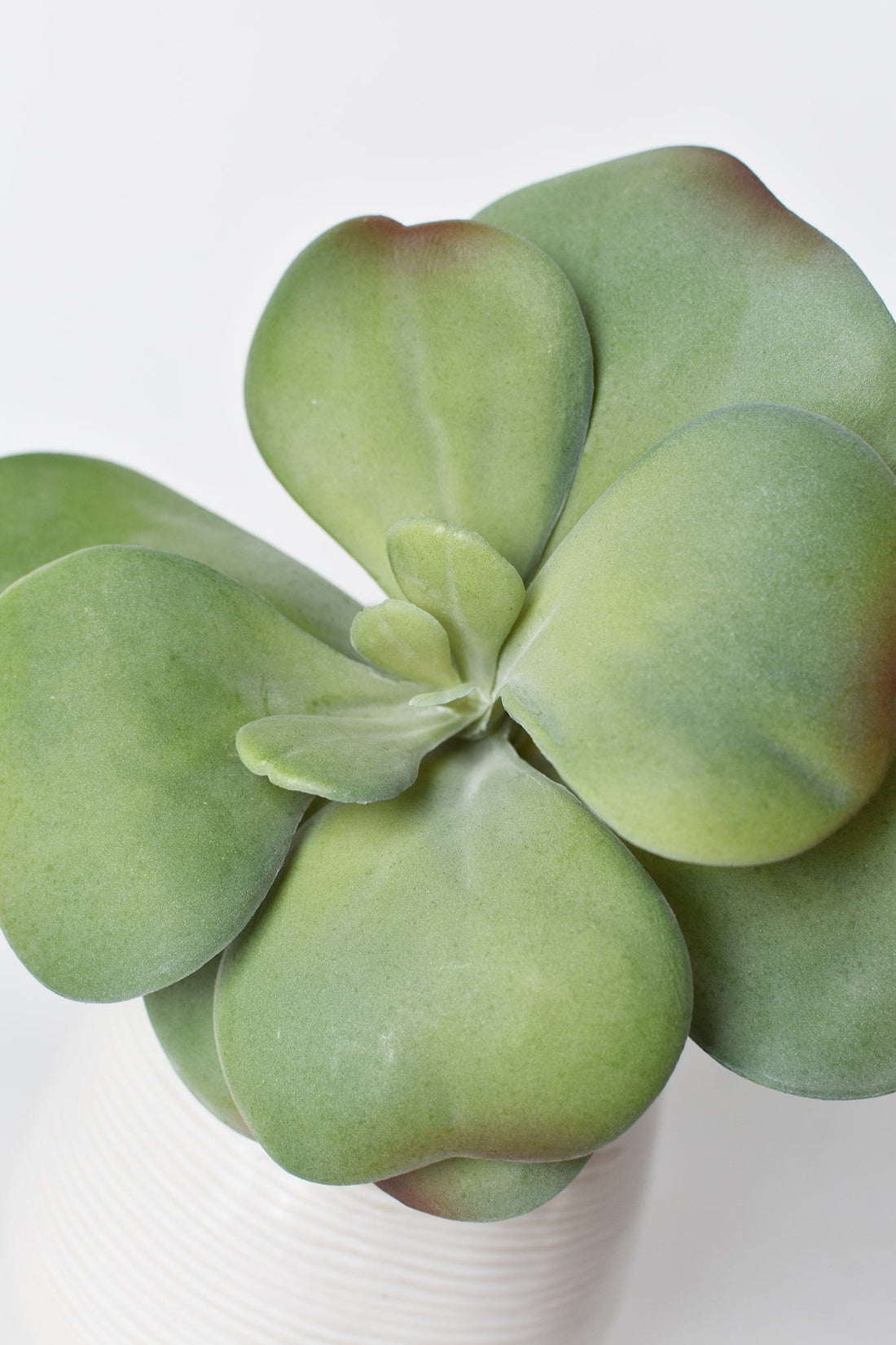 6" Faux Green\Gray Kalanchoe Succulent Pick
