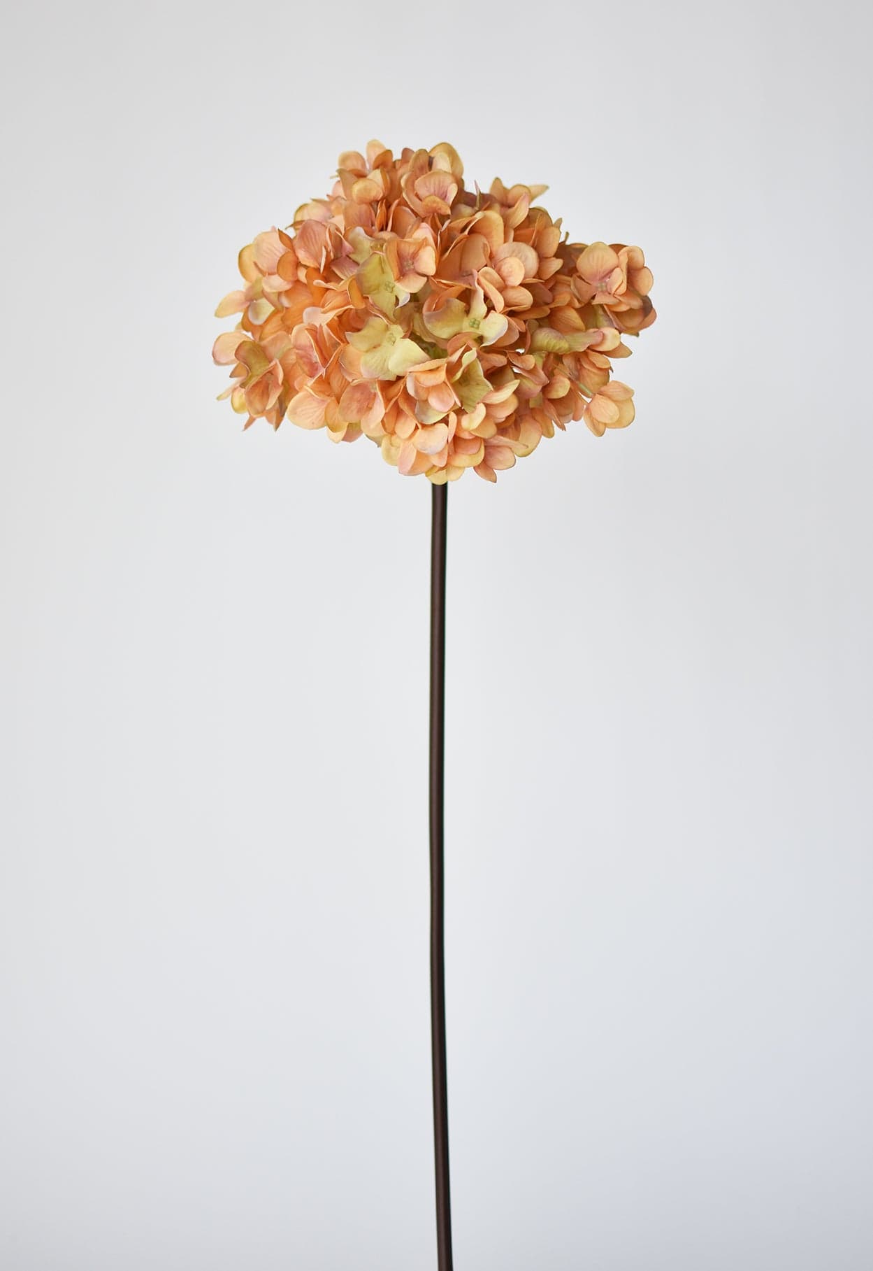 27" Faux Hydrangea Terracotta Orange Stem