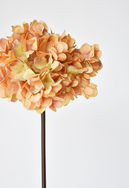 27" Faux Hydrangea Terracotta Orange Stem