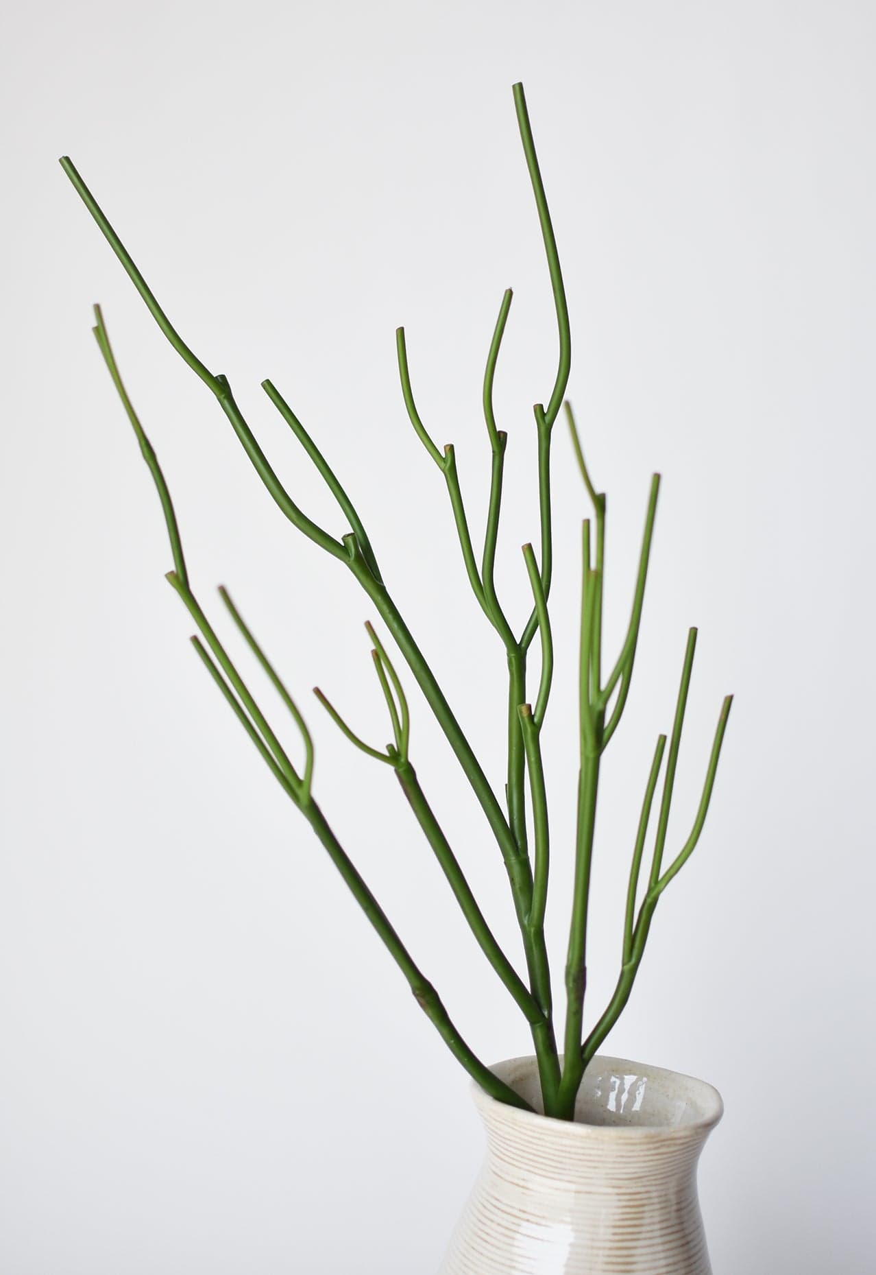 green pencil cactus 23" Faux Green Pencil Cactus Succulent Stem