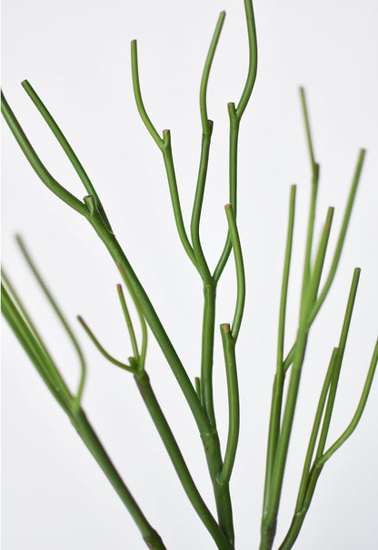 faux pencil cactus 23" Faux Green Pencil Cactus Succulent Stem – The Bell & Nook