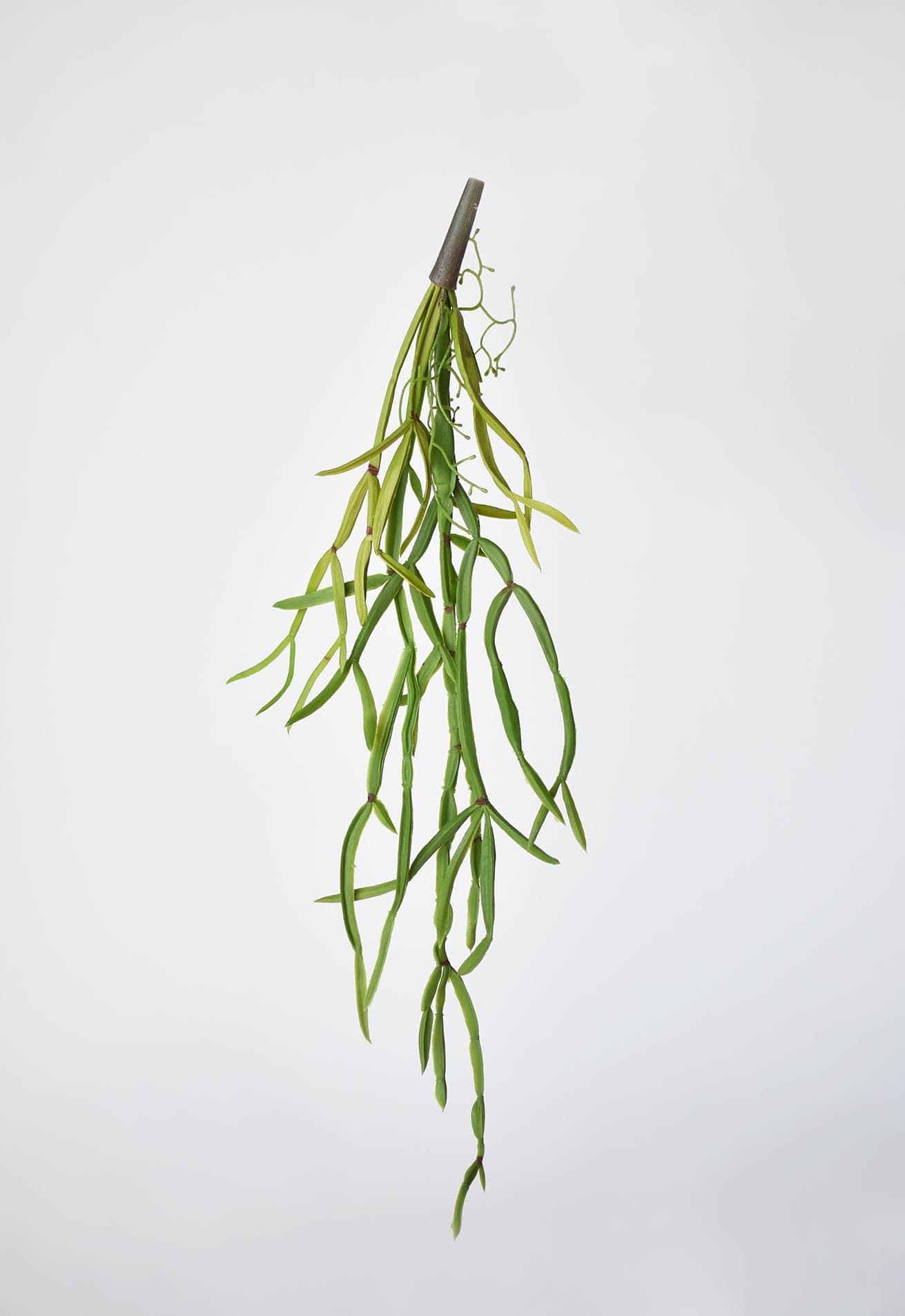 23" Faux Hanging Pencil Cactus Succulent Bush