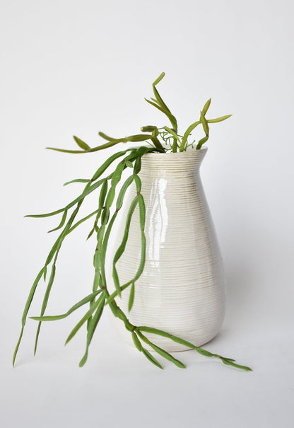 23" Faux Hanging Pencil Cactus Succulent Bush