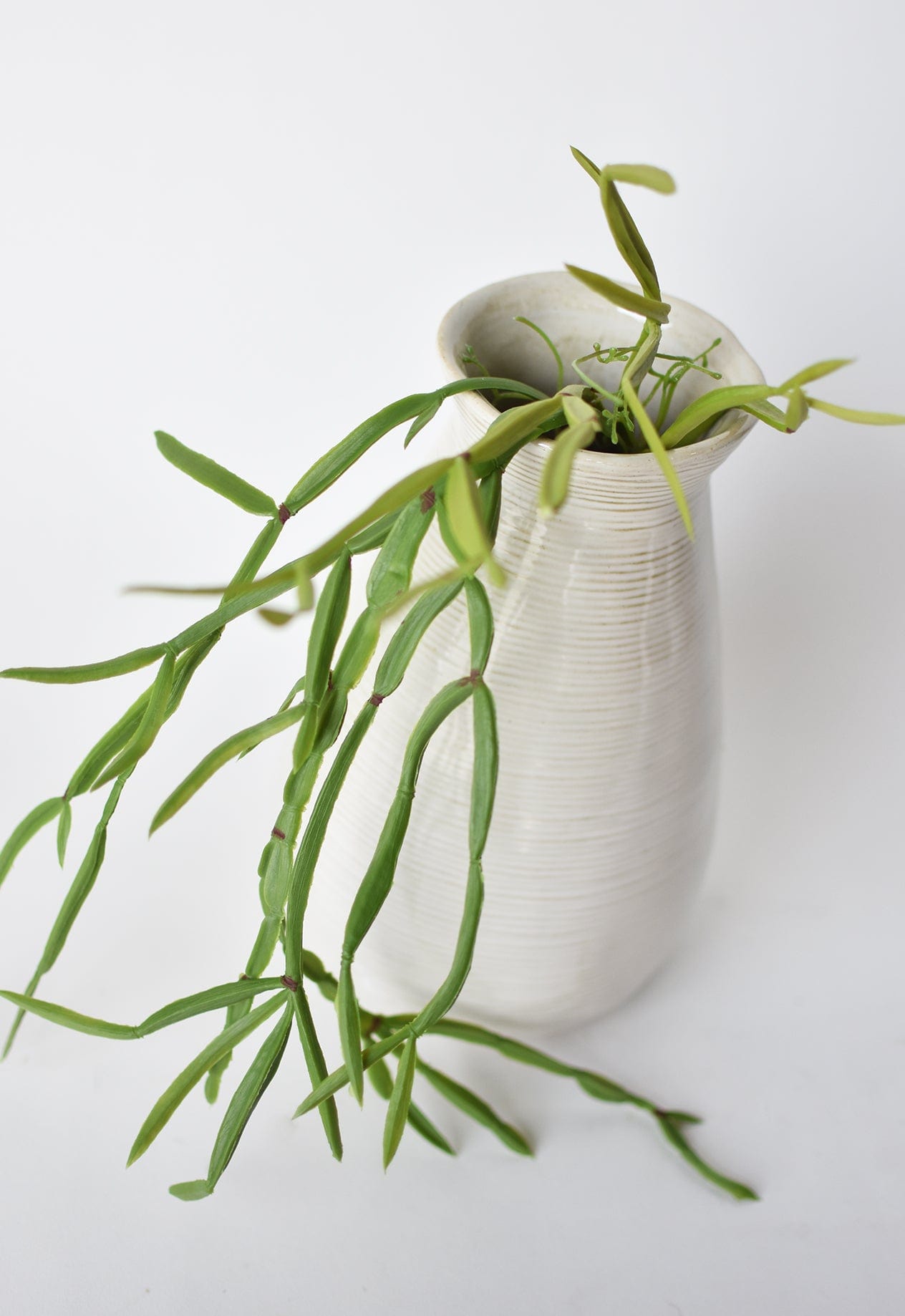 23" Faux Hanging Pencil Cactus Succulent Bush