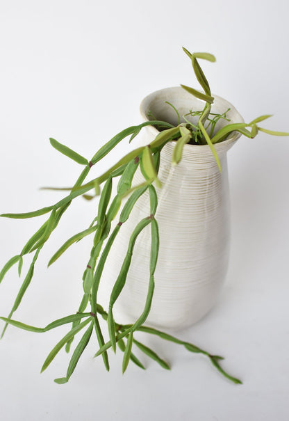 23" Faux Hanging Pencil Cactus Succulent Bush