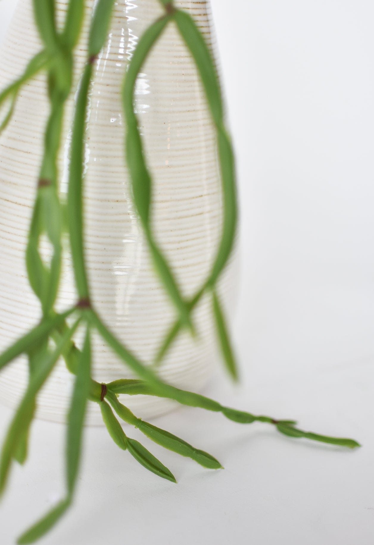 23" Faux Hanging Pencil Cactus Succulent Bush