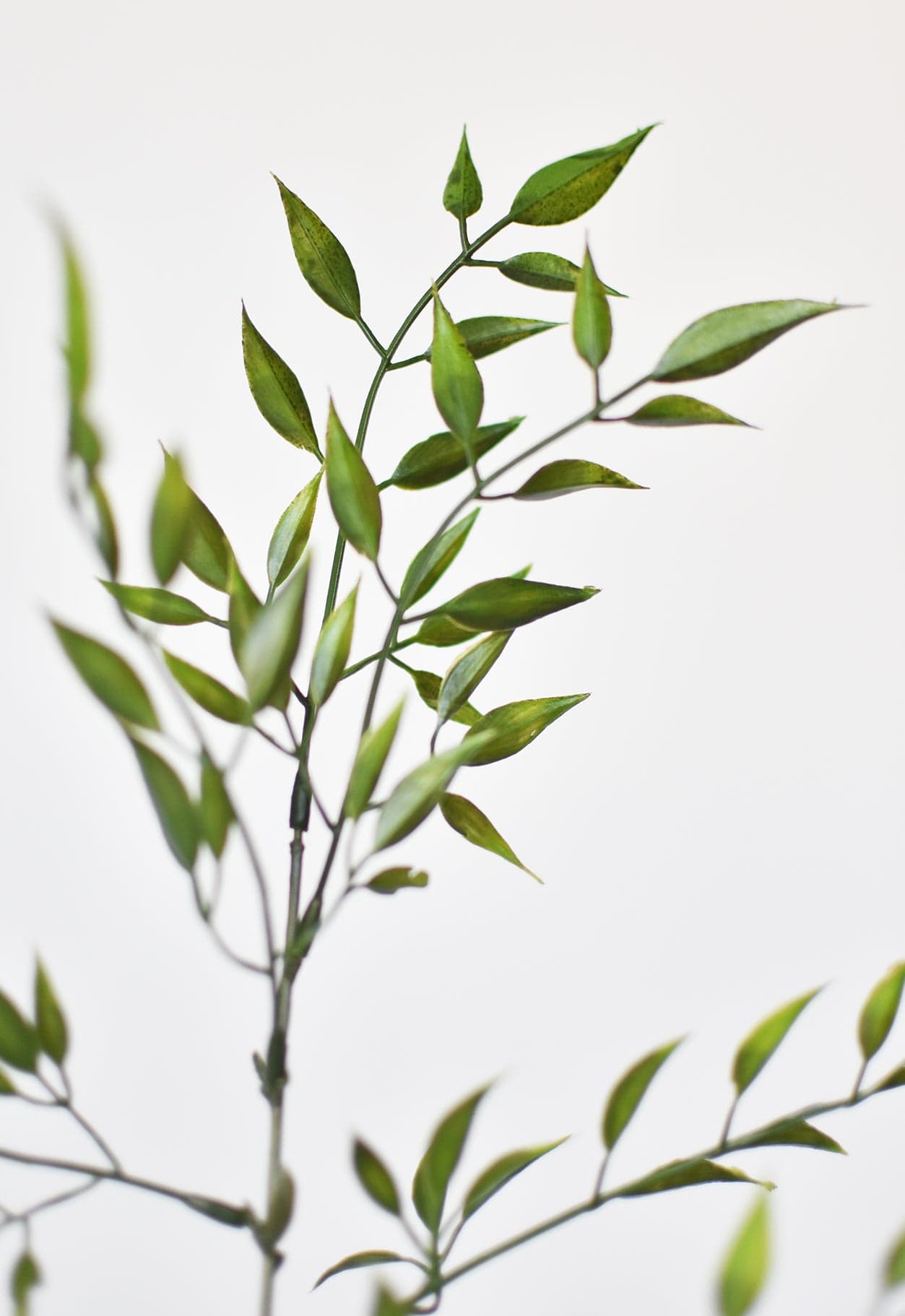 27" Faux Mini Bamboo Leaf Stem