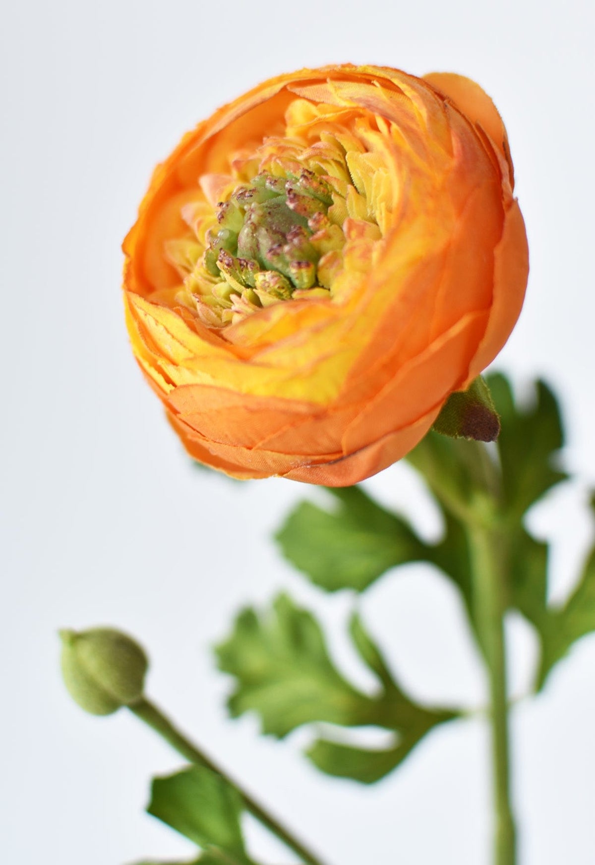 13" Faux Orange Ranunculus Stem