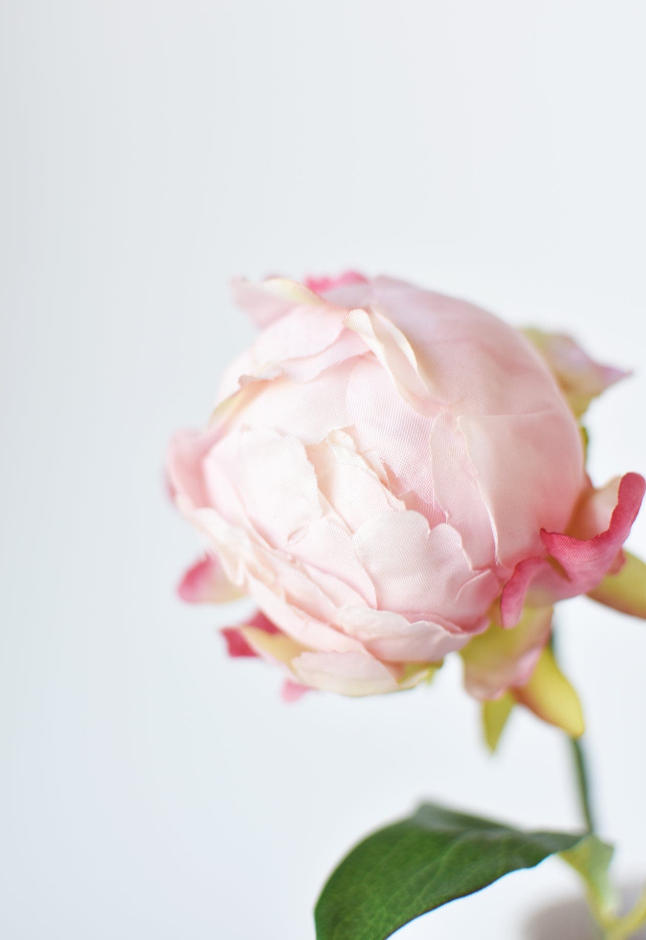 18" Faux Peony Bud Stem Light Pink