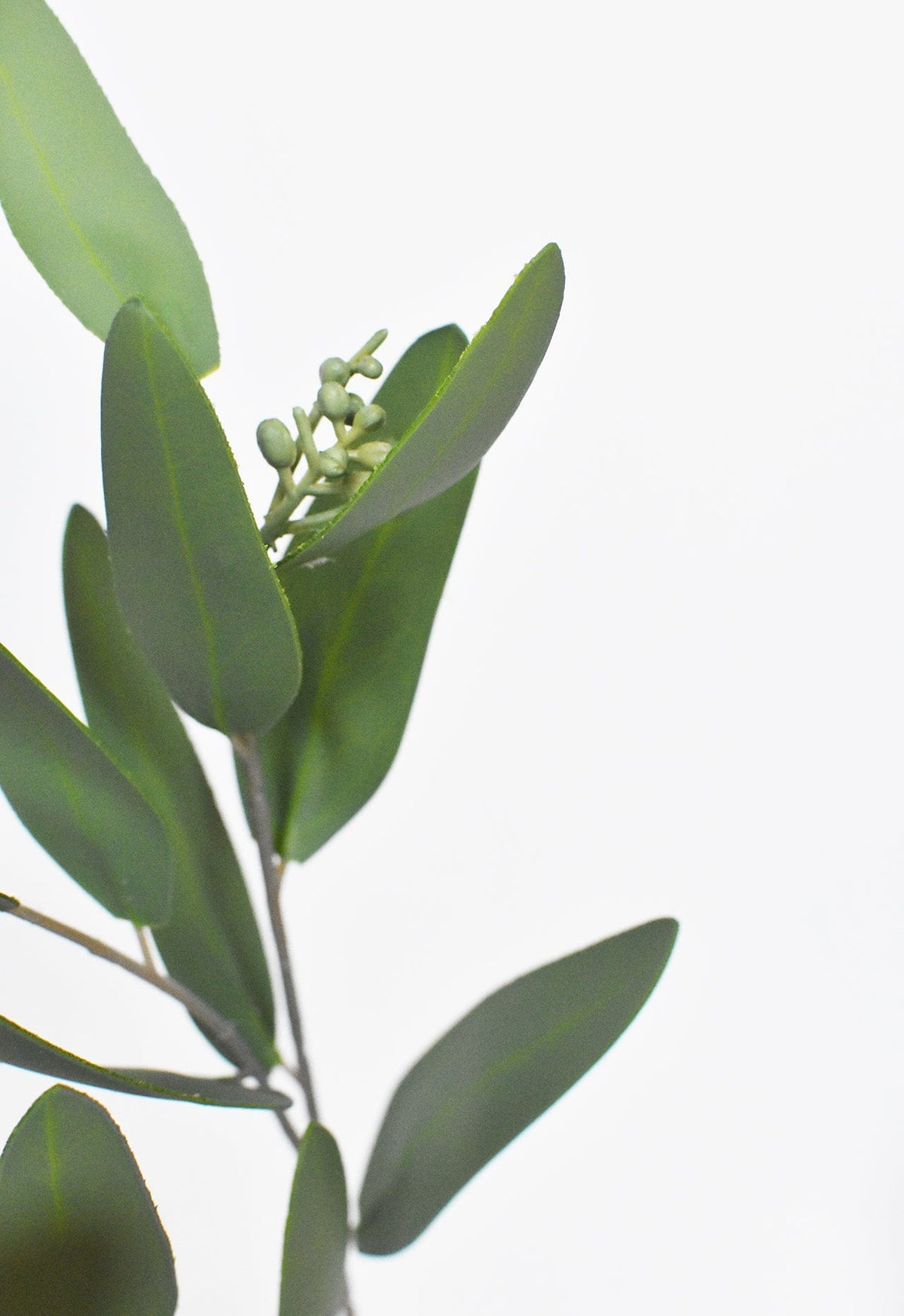 31" Faux Eucalyptus Leaf Stem